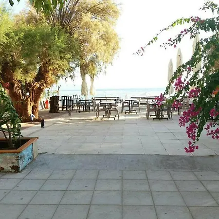 Beach Walk